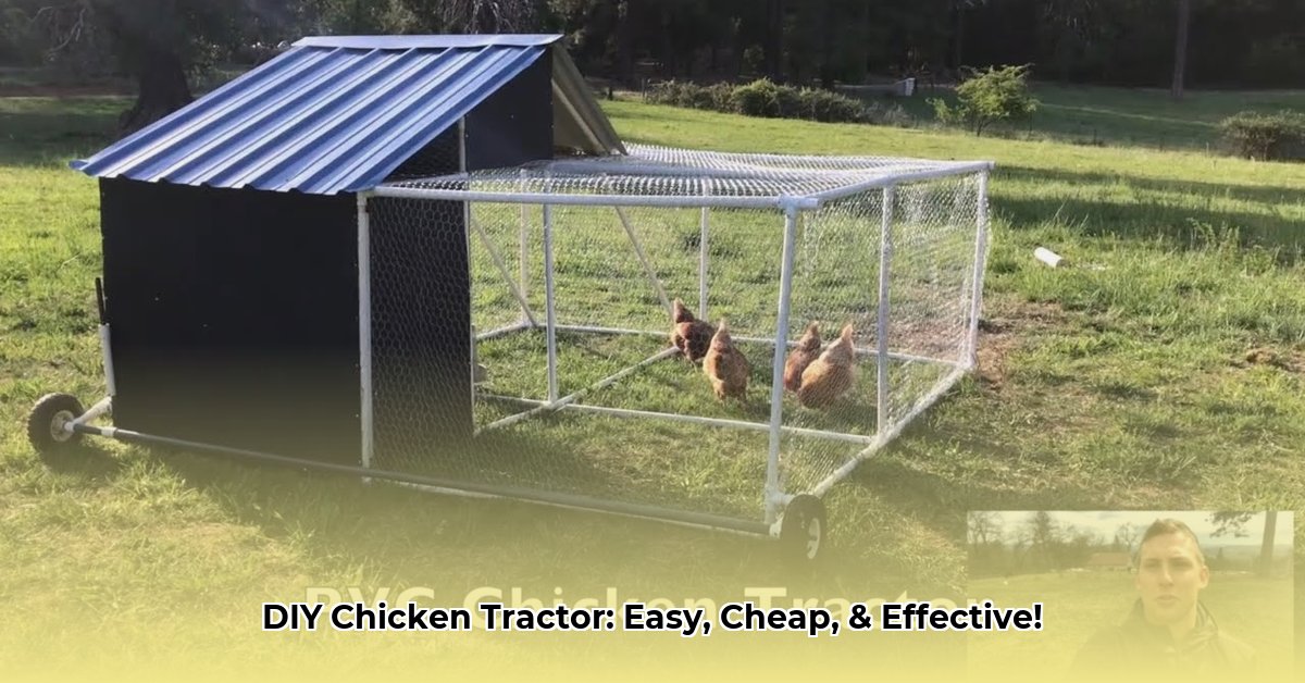 pvc-chicken-tractor